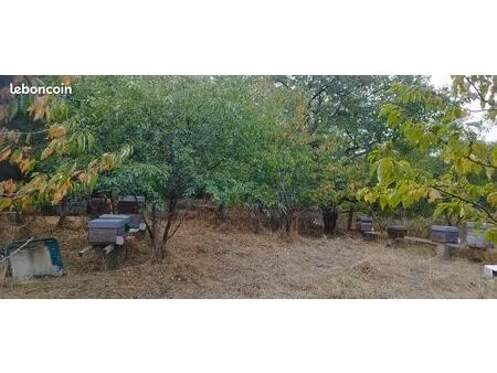 verger clôturé avec mare