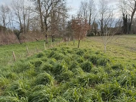 terrain à vendre