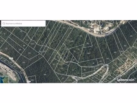 parcelle forestière