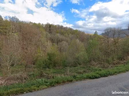 terrain avec grange – 4 069 m² – boussenac (ariège)