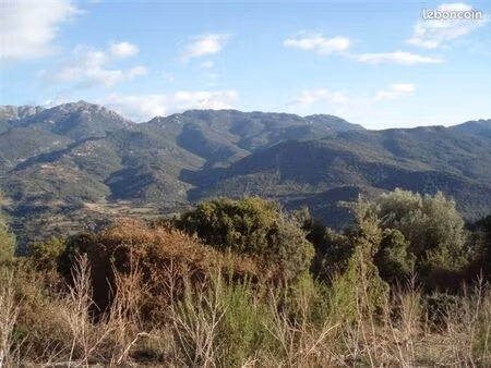 parcelles boisées avec ruine bergerie cadastrée en sortie de pila canale