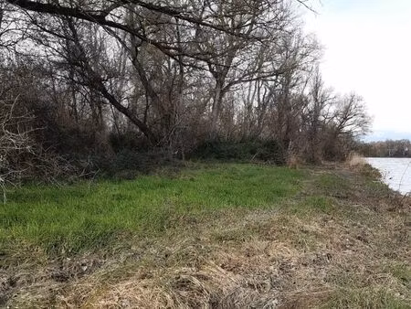 terrain boisé bord du rhône
