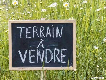 terrain constructible