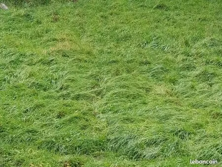 terrain agricole 87 608 m² mirecourt