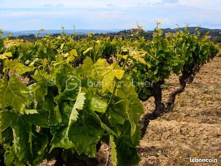 terrain agricole 6 565 m² rieux minervois