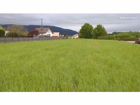 terrain constructible