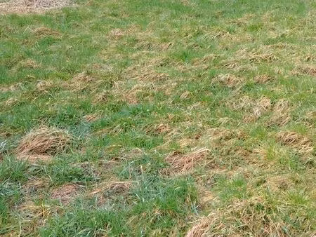 terrain constructible 1659 m² – dompierre (88)