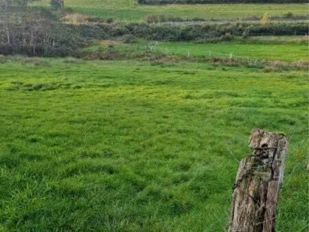 terrain constructible