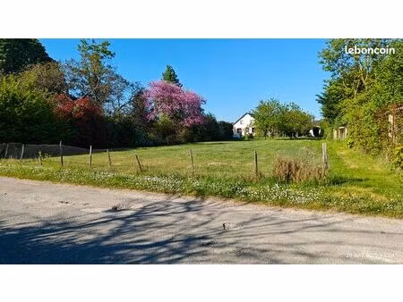 terrain constructible