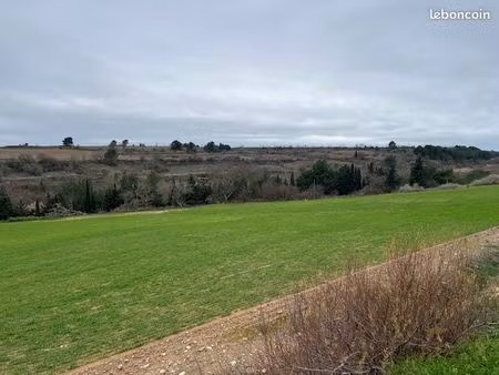 terrain 10595 m² rieux-minervois