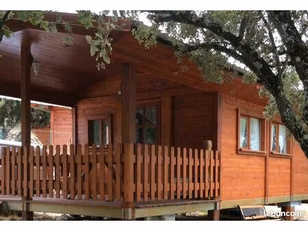 chalet bois dans camping