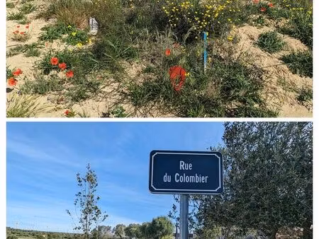 [680m2] grand terrain constructible dans village en bord de mer entre narbonne et perpigna