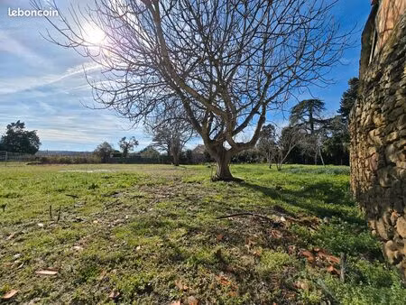 terrain constructible