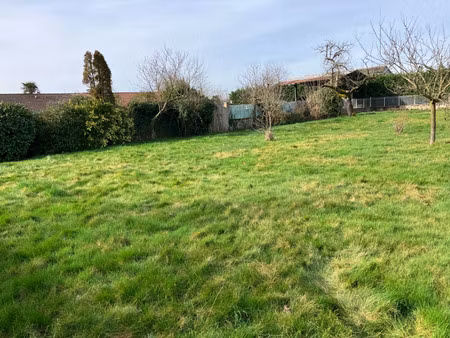 terrain à vendre taponas 470m2 156 000€