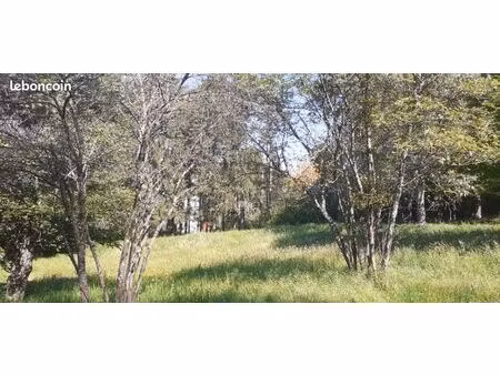 terrain 393 m² saint bonnet en champsaur