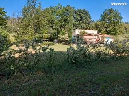 mazet   5000m2   70 oliviers plein sud