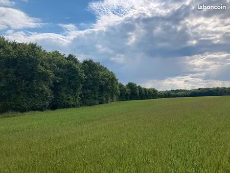 massif forestier en bourgogne d’environ 37 hectares df-1067-a