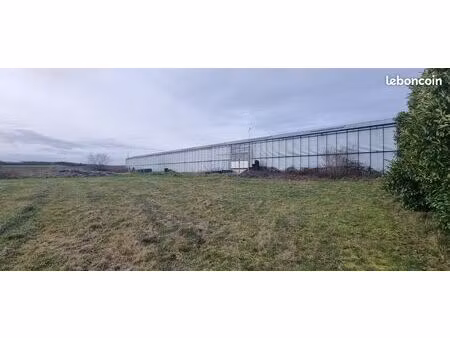 serre horticole 6000m2 et terrain agricole