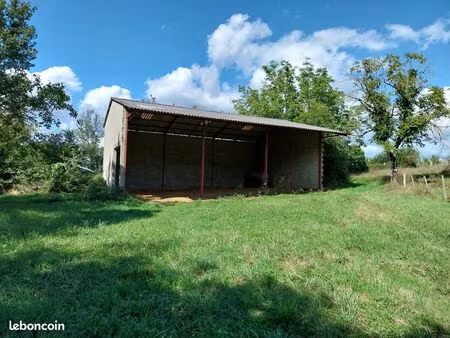 hangar et 6 hectares