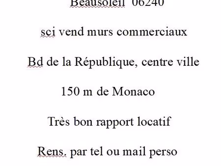 murs commerciaux 06240