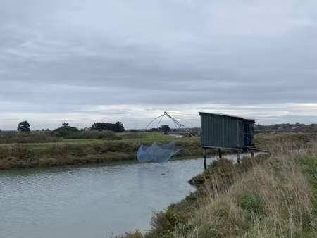 vente terrain à saint-hilaire-de-riez (85270) : à vendre / saint-hilaire-de-riez