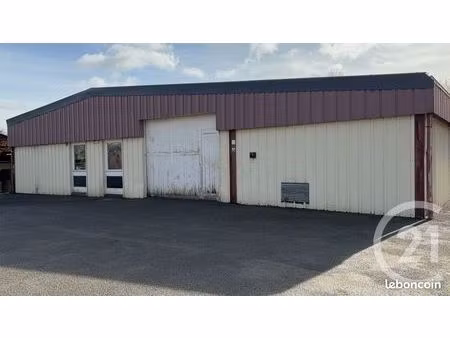 local d'activité 350 m²