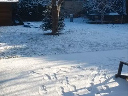 maison avec jardin et dépendances