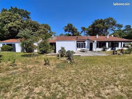 maison de pays - domino