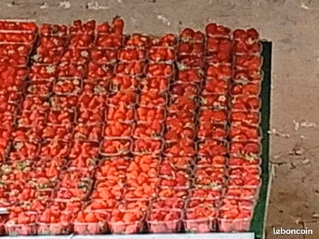 commerce fruits et légumes