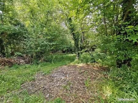 terrain 2 765 m² varennes jarcy