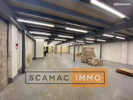 local d'activité 686 m²