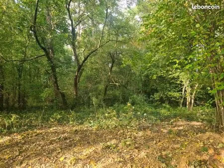 terrain 2 750 m² parmain