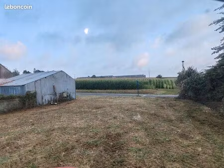 terrain constructible