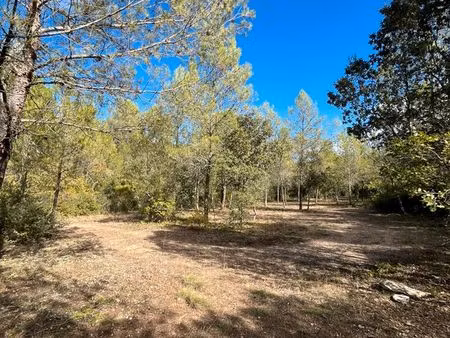 terrain de loisir 6510 m2 - source eau - oliviers