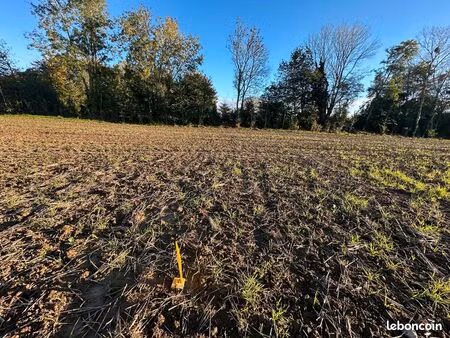 terrain constructible