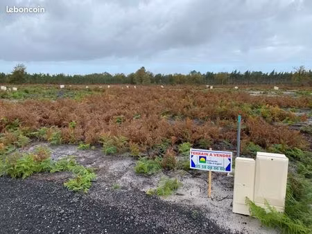 terrain 533 m² saint paul en born