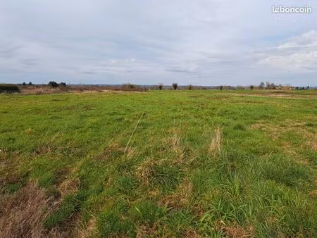 terrain 1 800 m² lamonzie saint martin