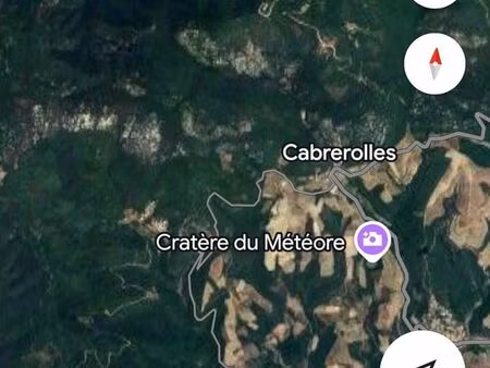 terrains boisés de chênes vert