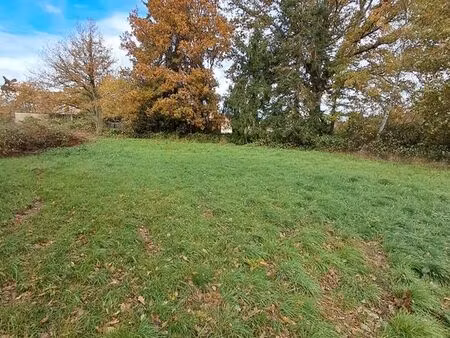 terrain constructible 2995m2   plat