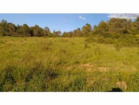 terrain parcelles agricole loisirs de 2 hectares