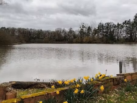 propriété 25hectares avec étang et maison