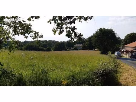 terrain constructible echourgnac