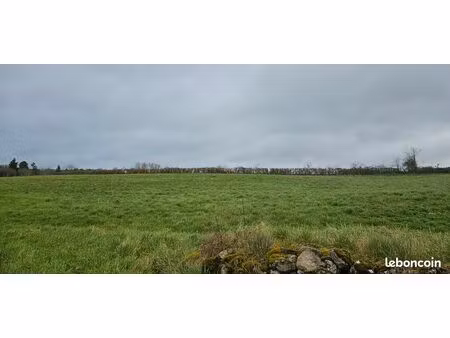 cherche petit bout de terrain