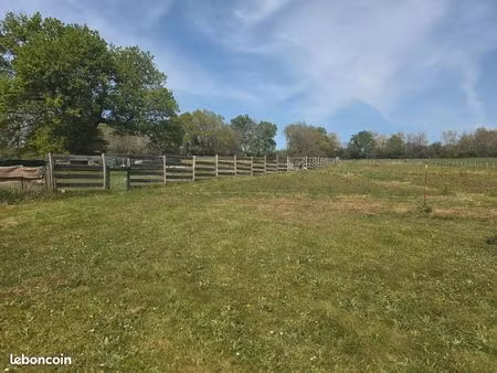 terrain constructible