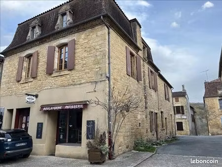 immeuble 495 m² villefranche du perigord