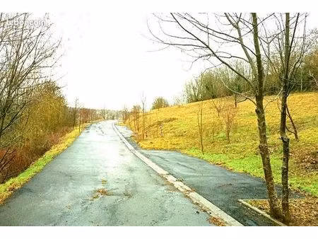 terrain 10 000m² pour promoteur