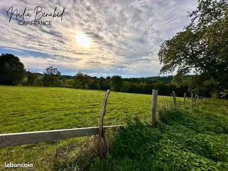 terrain 4 630 m² maizilly