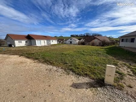 terrain pelousey (25)