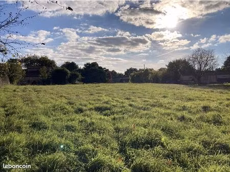 terrain comps 2040m2