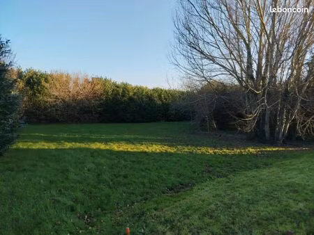 terrain constructible